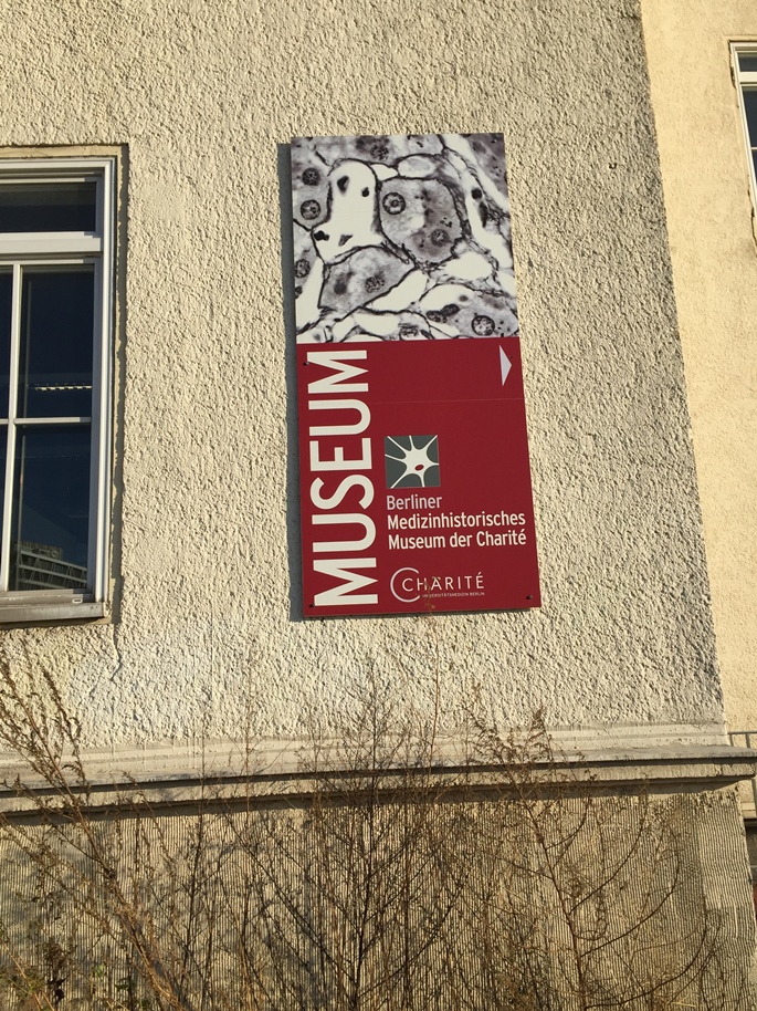 Berliner Medizinhistorisches Museum der Charité, Berlin - 02.jpg